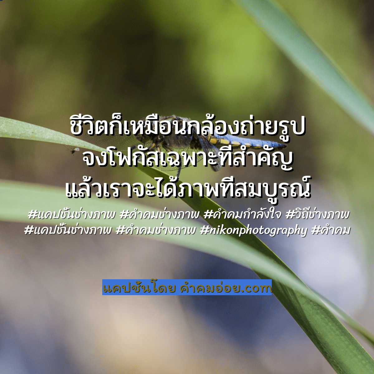 แจกฟรี 100 คำคมช่างภาพ ชีวิตก็เหมือนกล้องถ่ายรูป จงโฟกัสเฉพาะที่สำคัญ  แล้วเราจะได้ภาพที่สมบูรณ์
